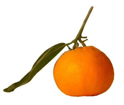 Mandarin with the stem and leaf on white background