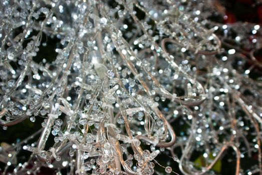 White lights sparkle on Christmas tree