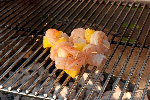 Cooking a few Meat Brochettes on a Barbecue outside in the garden