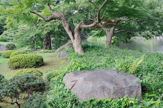 scenic landscape in famous zen garden, Korakuen in Tokyo, Japan