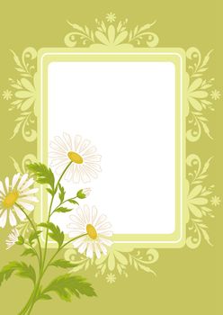 Floral holiday background with chamomile flowers and a blank white rectangle.