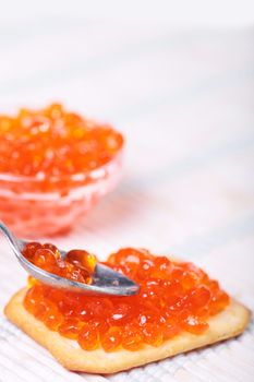 Close up of red tasty caviar in a glass jar with cracker and spoon