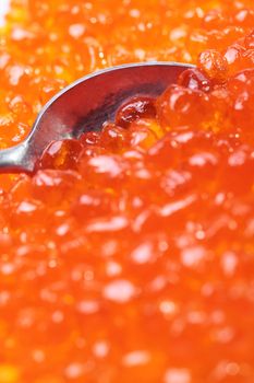 Close up of red tasty caviar with spoon inside