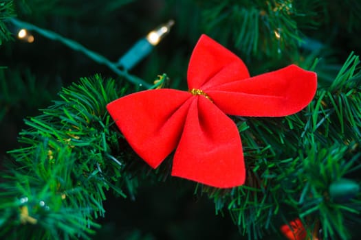 butterfly hanging on Christmas tree