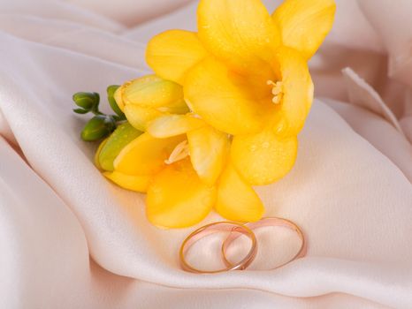 Gold wedding ring with a yellow freesia in the tender silk