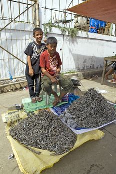 March 2012 - Capiz City, Negros Oriental, Philippines - Two young Filipino boys help thier families work selling dried fish at the local public market in Capiz City. 