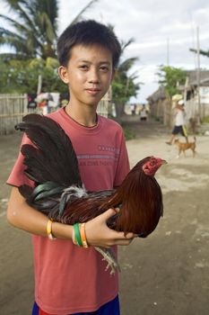 Proud young Filipino boy holding his prized fighting cock. Chicken fighting is a popular blood sport in the Philippine Islands.
