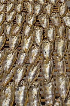 A bamboo rack of freshly split Milkfish drying in the sun at a market in the Philippines.