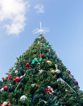 Large tall christmas tree in exterior park in Key Biscayne Florida decorated for xmas