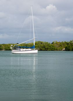 Yachts and boats moored in No Name Harbor in Bill Baggs Cape Florida State park Key Biscayne Miami