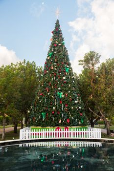 Large tall christmas tree in exterior park in Key Biscayne Florida decorated for xmas