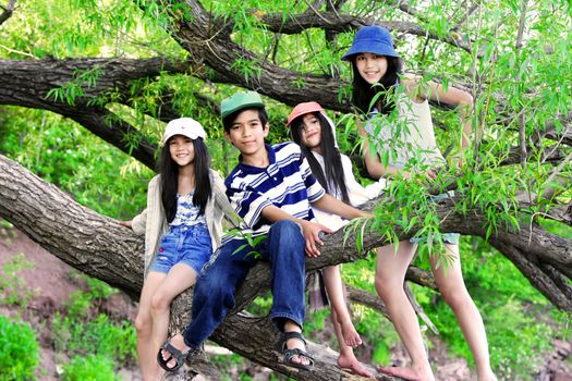 Kids climbing in tree