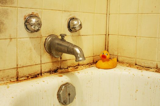 A filthy bathtub with mold and stains and dirty water. Concept for poverty or renovation/repair.