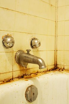 A filthy bathtub with mold and stains and dirty water. Concept for poverty or renovation/repair.