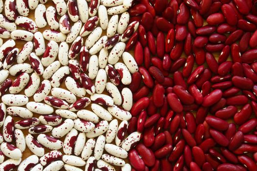 A background or wallpaper image of two types of heirloom dry soup bean:  Jacob's Cattle (also known as Trout) and Red Kidney.