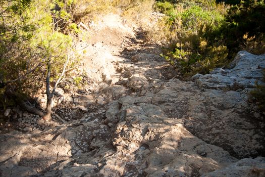 rocky scrubby landscape from vis island (croatia)