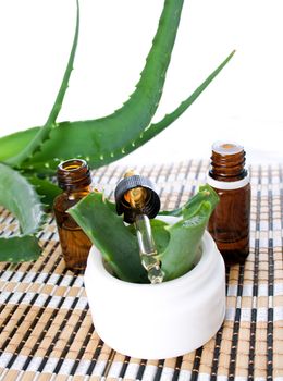 aloe vera essential oil and cream isolated on white background