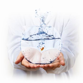 A goldfish in a glass bowl and human hands