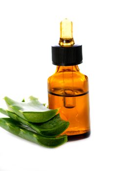 aloe vera essential oil