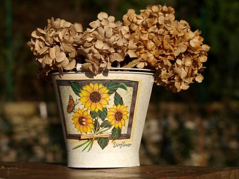 bucket with dry flowers         