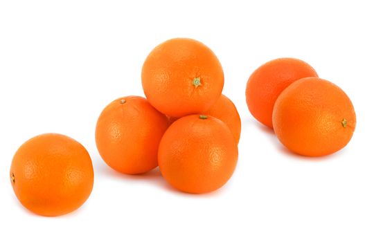 Bright fresh oranges on a white background.