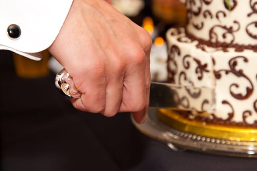 The bride and groom cut the cake together showing their hands and the beautiful wedding cake.