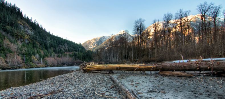 Riverside forest with snow mountain in background