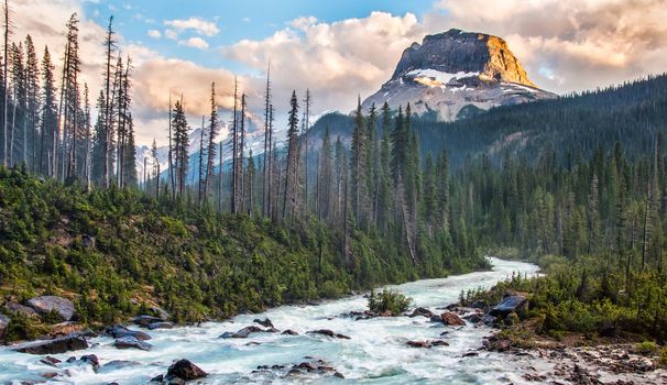 Taken in Yoho National park just as the setting sun lit the one side of this rockey peak.