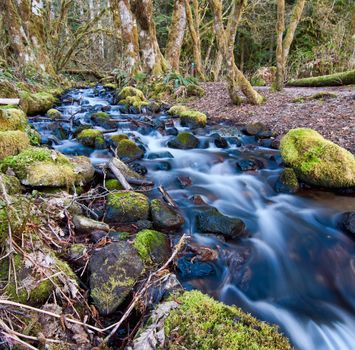 Flowing creek with mossy rocks in a forest near Squamish, BC, Canada