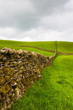 Dry stone wall on the fields in Yorkshire Dales in Great Britain