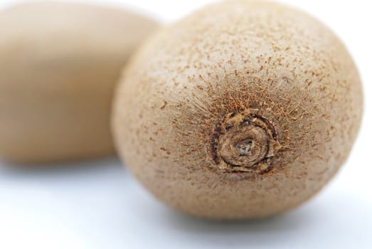 Close up of kiwi fruit on white background