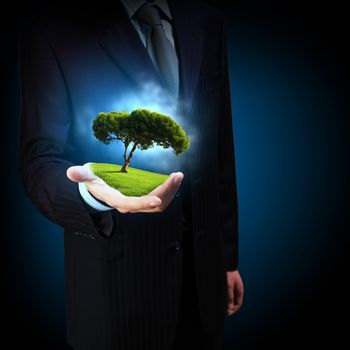 A green tree in the hand of a businessman