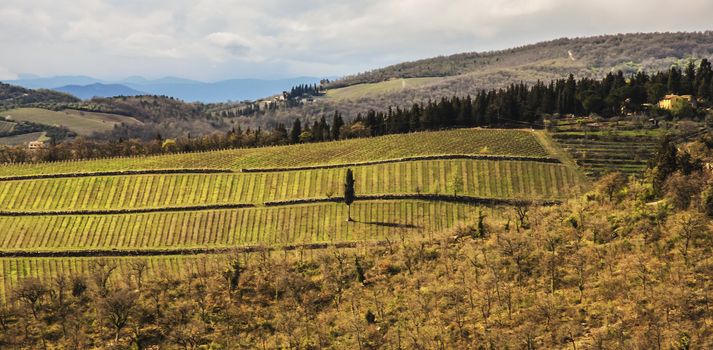 farmland and countryside in Chianti, Tuscany, Italy