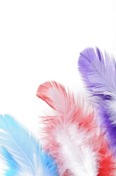 Colorful feathers on white background