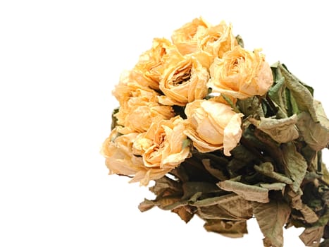 Withered rose bouquet 