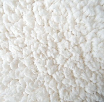 White wool background