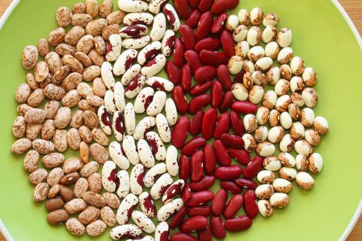 A background or wallpaper image of four varieties of heirloom soup bean in strips on a green plate.