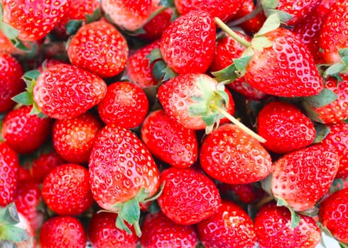 close-up of red strawberries