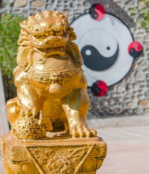gold chinese lion sculpture with background of yin yang