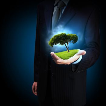 A green tree in the hand of a businessman