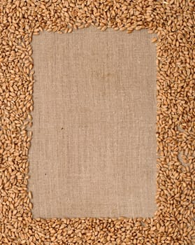 Wheat ears on rough sack material