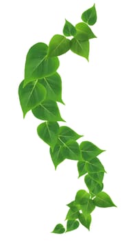 Ecology concept. Green leaves border on white background