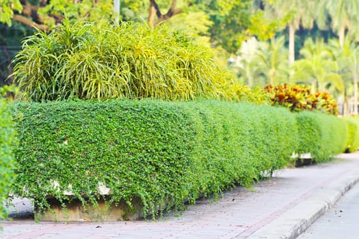 Garden decoration