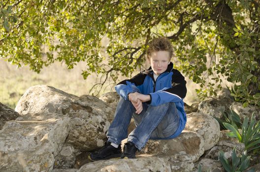 Boy sitting in nature on a rock under a tree