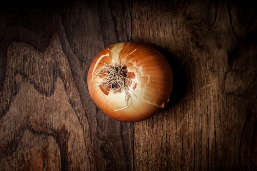 onion on textured brown wood