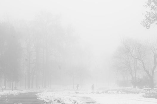 foggy winter landscape with snow