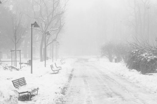 foggy winter landscape with snow