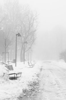 foggy winter landscape with snow