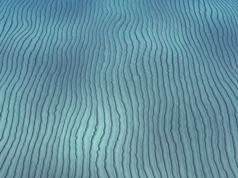 The bottom of the seabed with sand ripples and ridges.