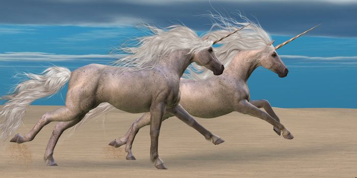 Two white unicorn horses gallop together in the desert. 